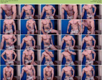 cutemusclegay
