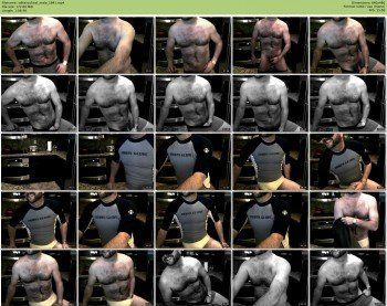 sdhairychest