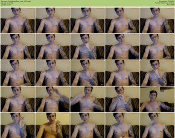 thetattooedboy