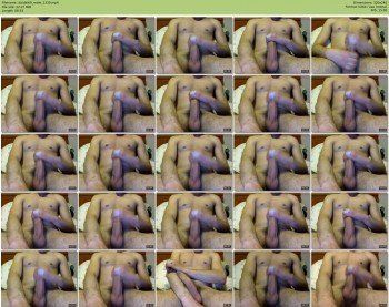daidai69