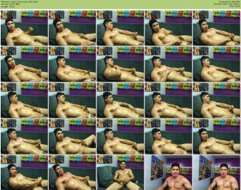 gato_hunk