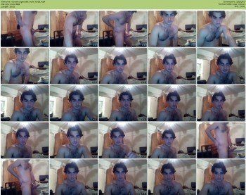 horsehungmodel