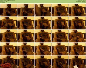 ttigre_negro4