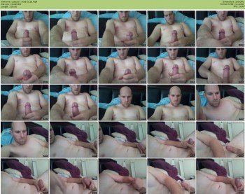 castud77