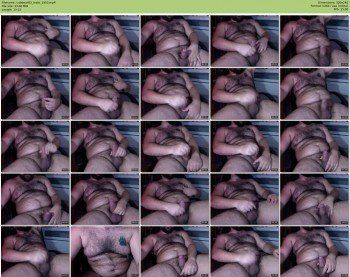 cubbear83