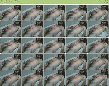 collegeguy15