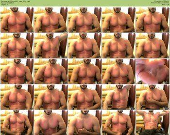 arabiancock11