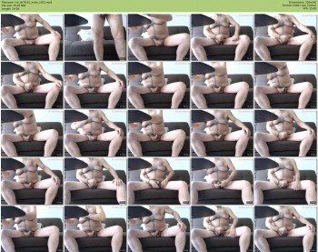 ivo_sb7f231