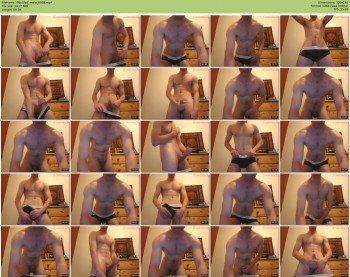 fitbritlad