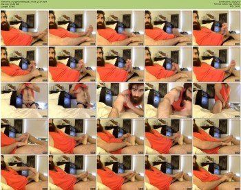 hungbeardedguy91