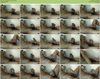 quasilob110