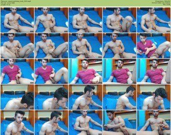 stevemuscleboy