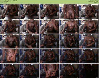 silvestre0073