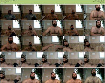 davidsbeard