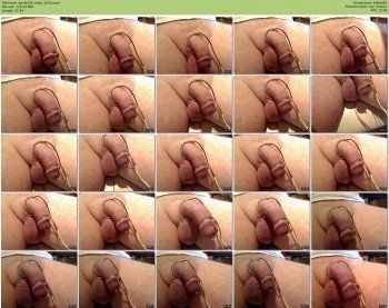 jenne299