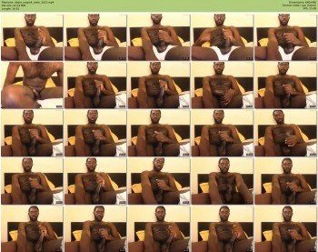 ttigre_negro4