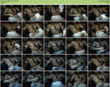muscleqatar