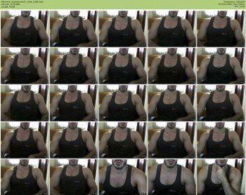 arabiancock11