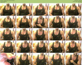 arabiancock11