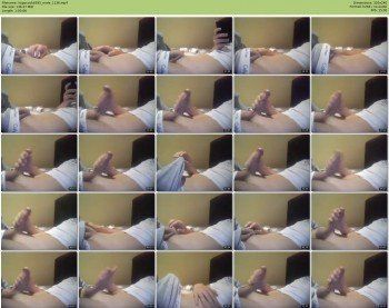 hypocock6395