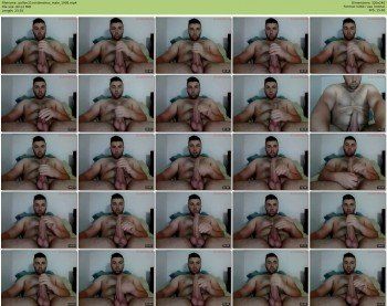 pollon21centimetros