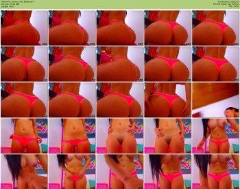 sammy_mfc