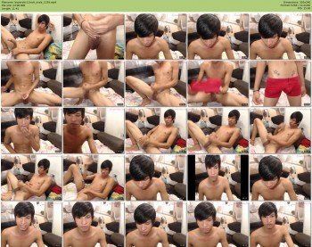 boyerotic11inch