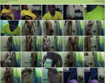 kxngdick422