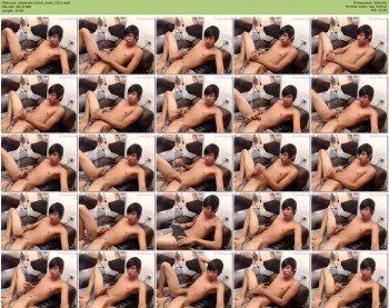 boyerotic11inch
