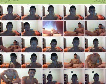 latinhard009