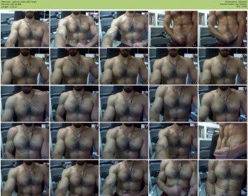 _belami_