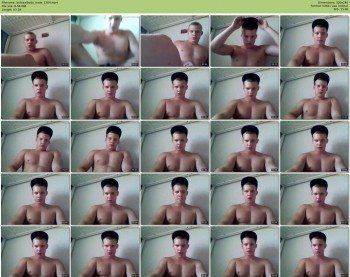 kolisexibody