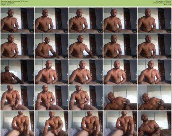 wolf_vanco