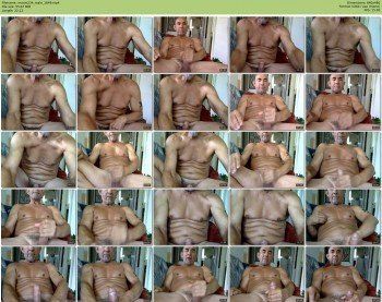 moxie234