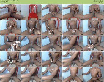 mrcock24cm
