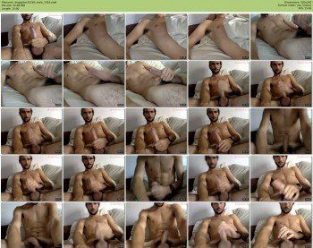 doggydan33200