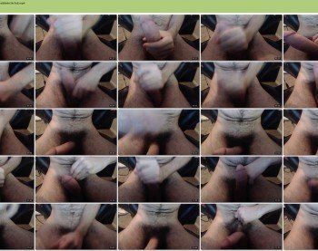 jordanthesquirrel
