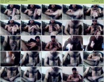 giant_persian