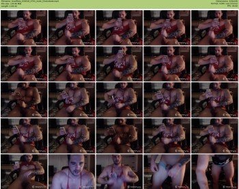 bradflexs