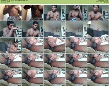 fit_kris_bbc