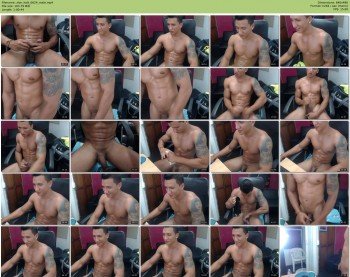 zion_hott