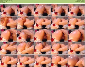 anal_queenn