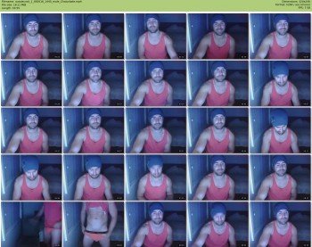 aussiecock_1