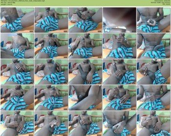 mrcock24cm