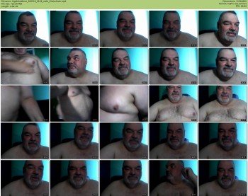 bigdickedbear