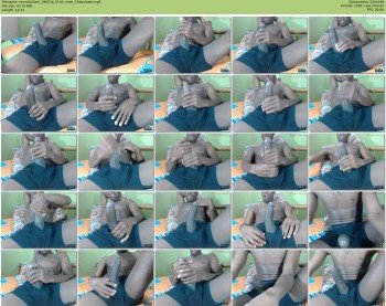 mrcock24cm