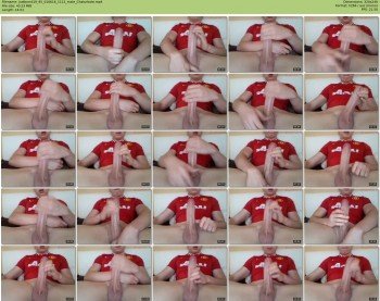 justborrd19_95