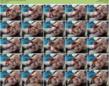 56fit69