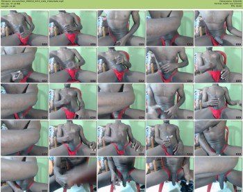 mrcock24cm