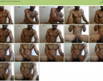 blkcock33